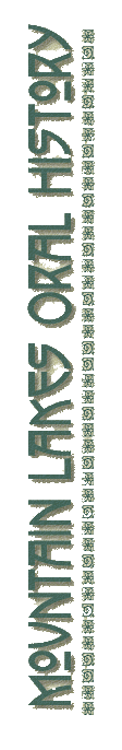 side banner