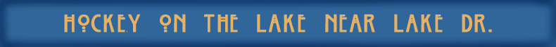 MtnLakeTowardLakeDr banner