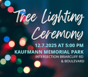 Annual Tree Lighting @ Kaufmann Park | Georgia | United States